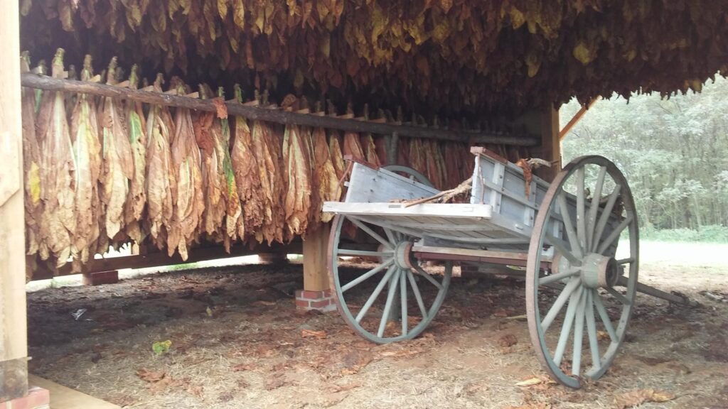 Mount Harmon Plantation Tobacco Barn