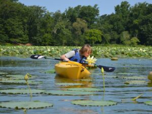 Kayak American Lotus